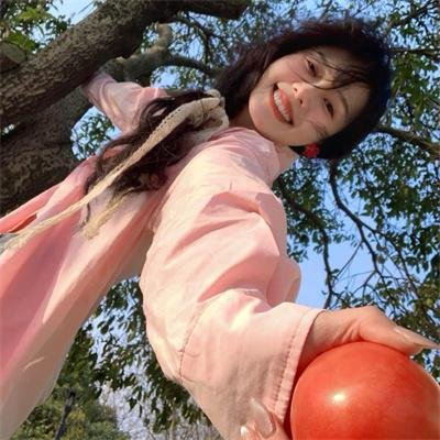 企鹅之岛：福克兰